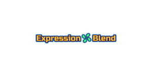 Expression-Blend-2