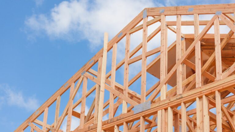 Home building unlikely to rise this year