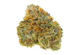 Terrapin-CannabisCompany-3