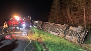 Tractor-trailer hauling 15 million bees crashes on New England highway