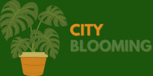 City-Blooming-2