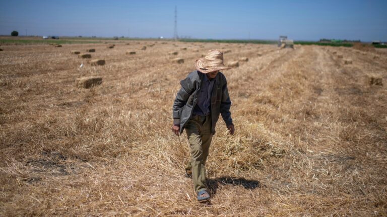 Climate change imperils drought-stricken Morocco’s cereal farmers and its food supply