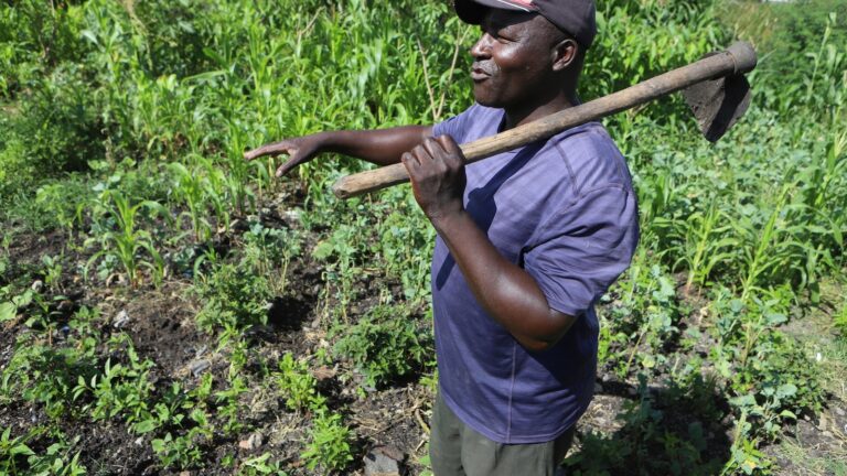 Farmers in Africa say their soil is dying and chemical fertilizers are in part to blame