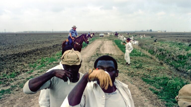 Prisoners fight against working in heat on former slave plantation, raising hope for change in South