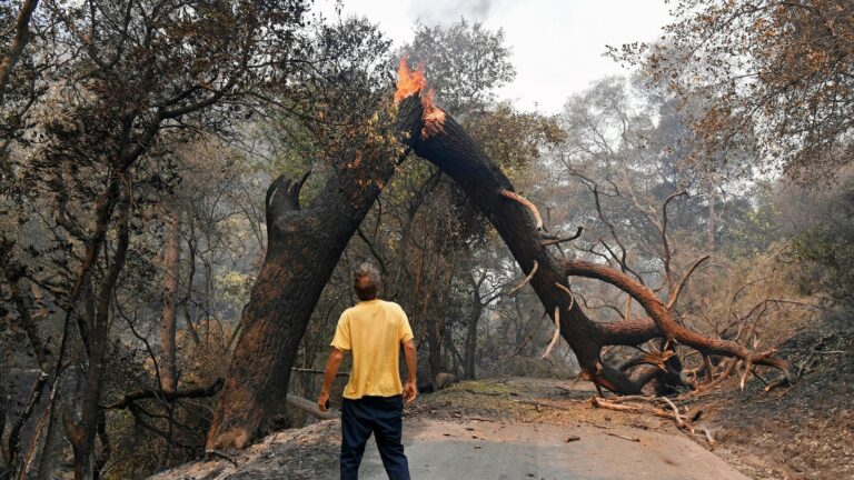 Wildfires are growing under climate change, and their smoke threatens farmworkers, study says