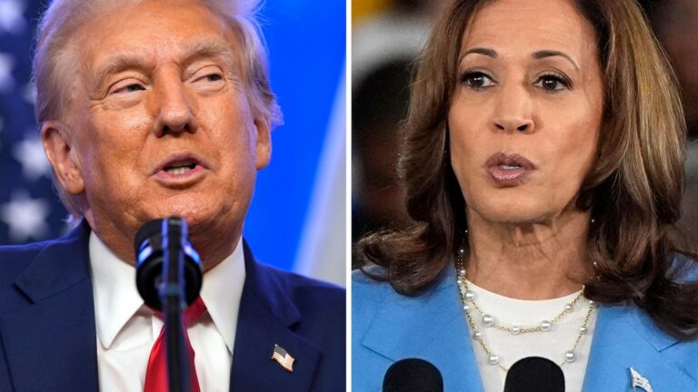 Raise taxes on the rich or cut them? Harris, Trump differ on how to boost the US economy