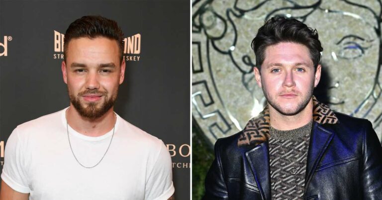 Inside Liam Payne’s Friendship With One Direction Bandmate Niall Horan