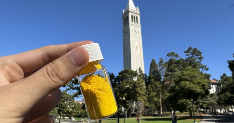 Half a pound of this powder can remove as much CO2 from the air as a tree, scientists say