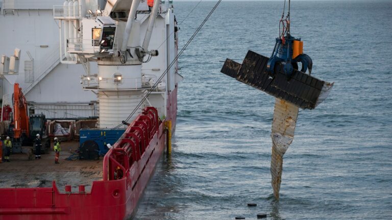 Thousands of shipping containers have been lost at sea. What happens when they burst open?