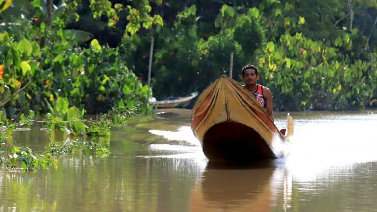 Belem, host of next year's climate talks, is Amazonian city plagued with pollution and violence