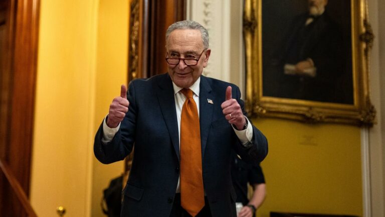 Chuck Schumer Reveals Stealth Dem Plan to Block MAGA Revolution