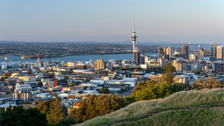 Blue chip New Zealand property outperforms