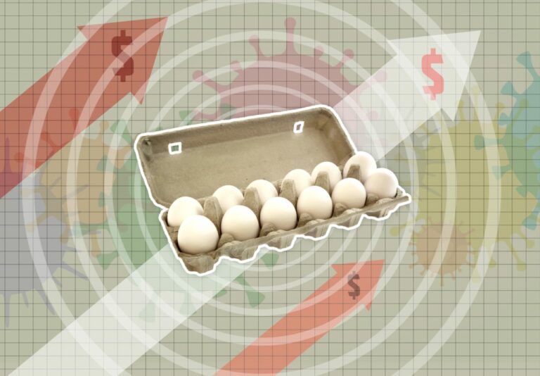 Why eggs are nearly $9 a dozen in California — and when prices could drop