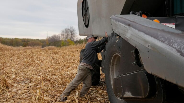 What this week's winter wallop means for farmers across the U.S.