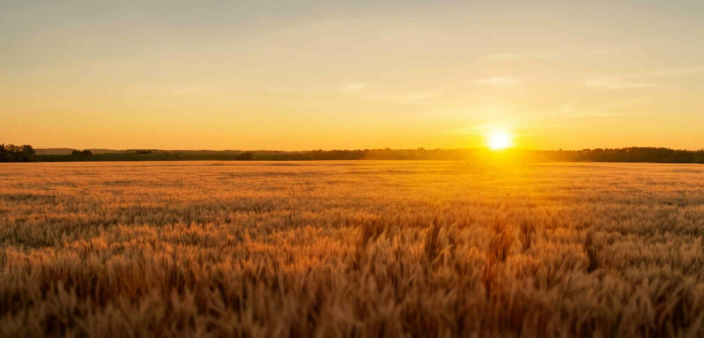 Clark-Wealth-Partners-4