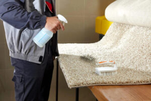 Chicago-Rug-Cleaning-Company-4