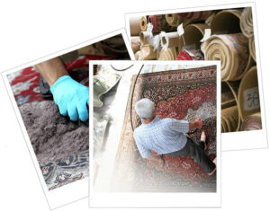 Premier-Carpet-Service-3